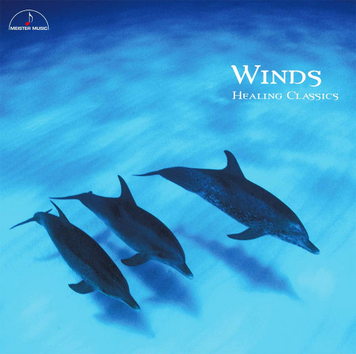 大学男生上课撸管视频
